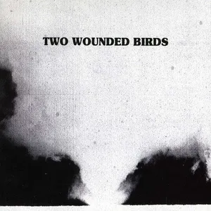 Hoes van Two wounded birds